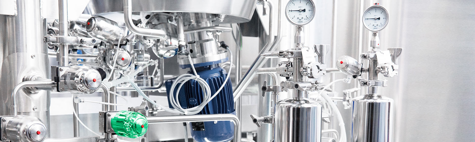 Pre-Treatment and Treatment Systems for Purified (PW) and Highly Purified Water (HPW)