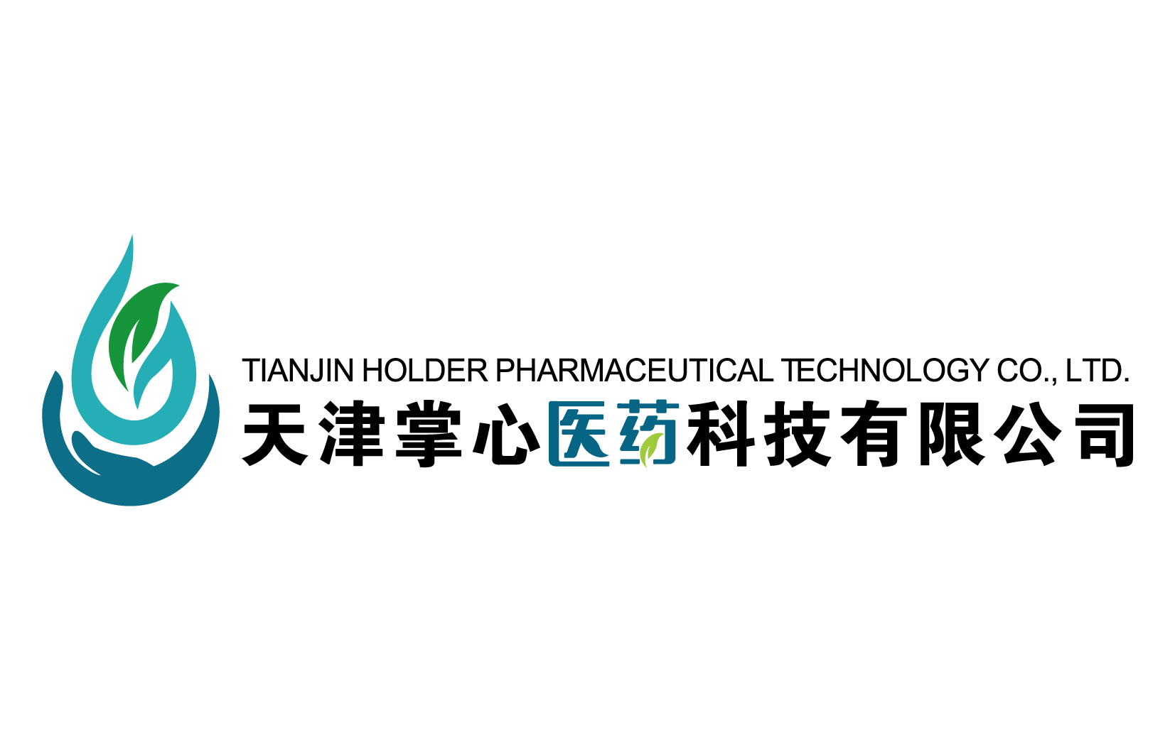 Tianjin Holder Pharmaceutical Technology